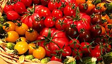 Carrefour Poland Adds ‘Raspberry’ Tomatoes To Private Label Line