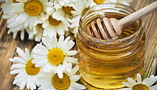 Changeable Weather Impacting Italian Honey Production