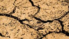 France Asks EU For Early Farm Aid To Help Drought-Hit Farmers