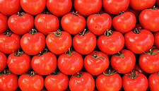 Carrefour France Makes Further Food Quality Commitments