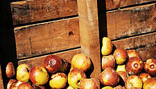 2 Sisters Food Group Backs IGD, Wrap's Food Waste Reduction Roadmap
