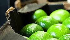 Greenyard Expands Fresh Produce Business In Germany
