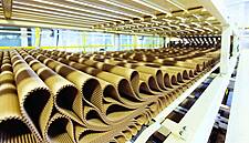 Negative Outlook For Global Paper And Forest Products Industry: Moody's