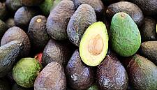 Avocado Sales Could More Than Double In 2018