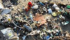 Efforts To Reduce Marine Plastic Pollution May Hit Packaging Firms: Moody's