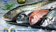 NIREUS Sea Bream And Sea Bass Win 2018 iTQi Superior Taste Awards