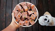 Salling Group Introduces Chilled Pet Food Lines To føtex, Bilka Stores