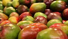 Greenyard Expands Sourcing With Mor International Stake