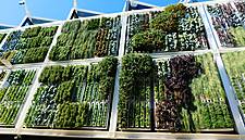 Canada's McCain Foods Bets On Vertical Farming