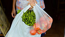 Lidl, Auchan Offer Alternatives To Plastic Bags In Portugal