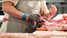 Brazil Commences Surprise Inspections At 15 Meat Plants