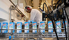 Nestlé To Remove Stabilisers From Major Milk Brands In Brazil