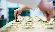 Finsbury Food Group Looks To Source Locally To Mitigate Brexit Impact