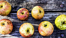 Rewe And Penny To Sell Blemished Fruit And Vegetables