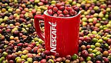 Nestlé To Launch New Coffee Processing Plant In Mexico