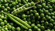 Fresh Produce Firm Greenyard Announces 'Transformation Plan'