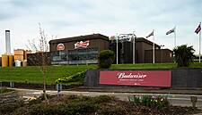 AB InBev's UK Operations Unveil New Identity