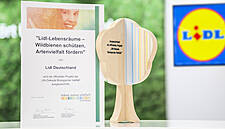 'Lidl Lebensräume' Bee Preservation Project Earns UN Recognition