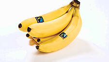 Lidl Belgium Commits To Fairtrade-Certified Bananas