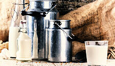 A Glass Half Full – Report On The European Dairy Market