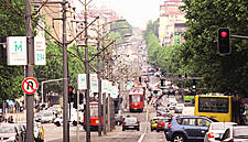 Foreign Players Hold Nearly 50% Of Serbian Retail Market