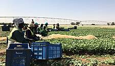 Waitrose & Partners Foundation Launches In Senegal And The Gambia