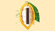 Nestlé Introduces Sugar-Free Dark Chocolate Made Of Pure Cocoa
