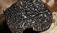 Climate Change Could Spell Trouble For Truffles, Expert Warns