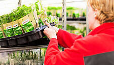 Toom Baumarkt To Introduce Reusable Plant Pallets