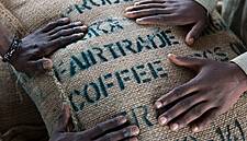 Fairtrade Products Generate Sales Of €145m In Italy In 2018