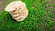 Spain's Cerealto Introduces AI-Inspired Rice Cakes