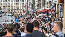Dutch Supermarkets Sees Sales Up In August, As Online Gains Ground
