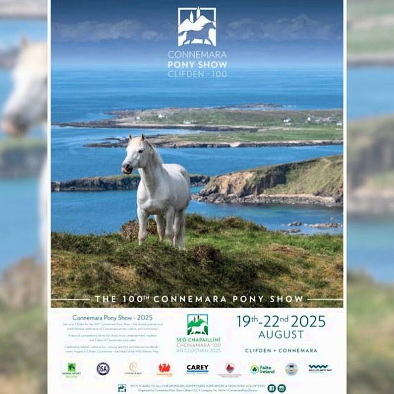 MEP Nina Carberry to open 100th Connemara Pony Show