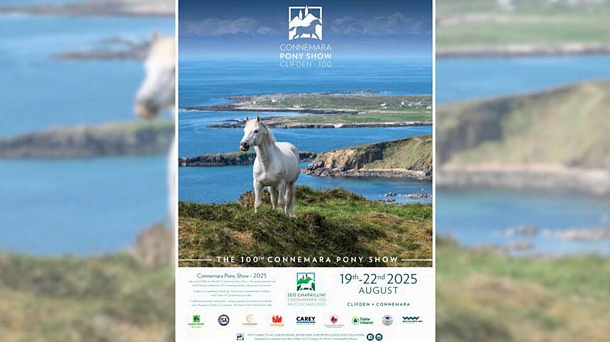 MEP Nina Carberry to open 100th Connemara Pony Show