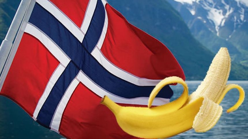 The Norwegian Banana - Molly in the Morning