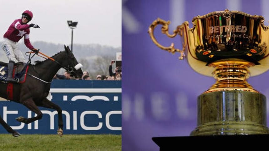 Gold Cup Winner Don Cossack Retires As 2017 Entries Are Revealed