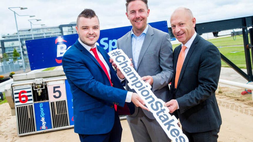 Champion Stakes launches a bumper calendar of BoyleSports racing