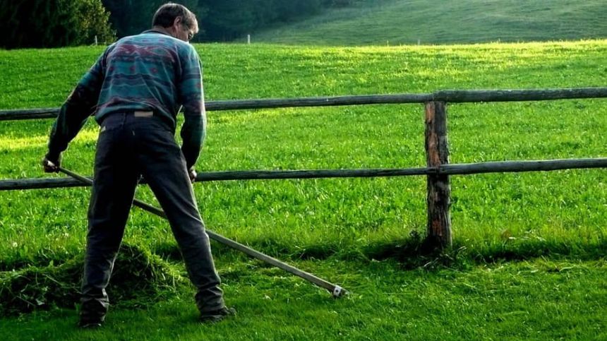 Terryland to host traditional meadow mowing event