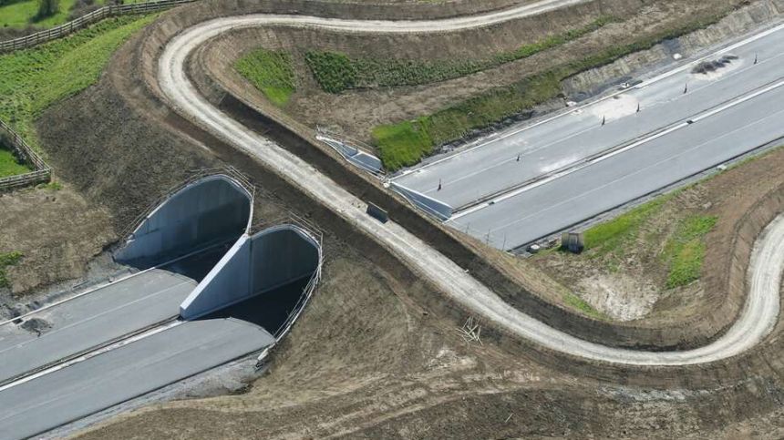 Gort to Tuam motorway 'bat bridge' nears completion as part of efforts to protect local wildlife