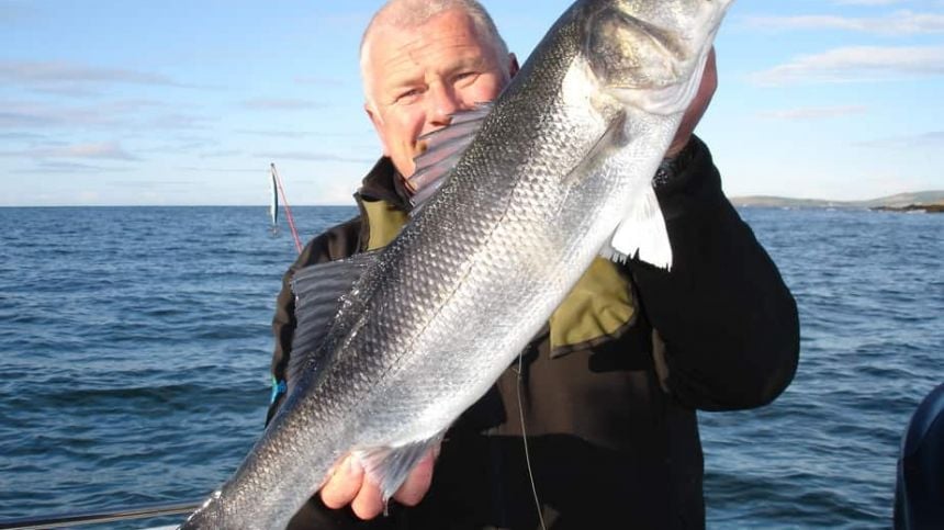 Galway team leads world first study on European Sea Bass