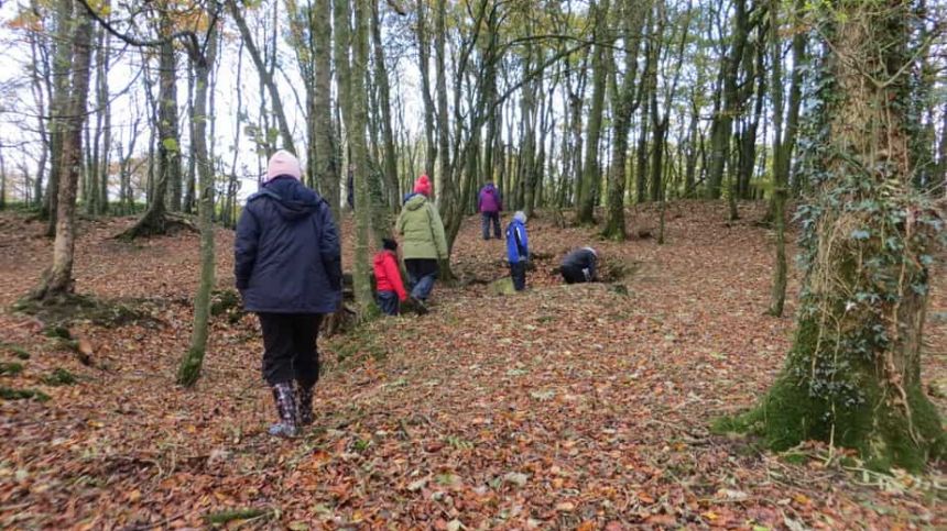 NUIG study reveals the importance of nature on health and wellbeing