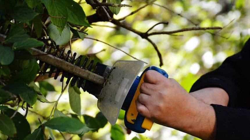 County landowners to be informed of hedge cutting responsibilities