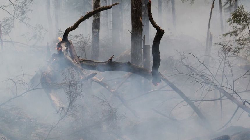 Emergency services hoping weather will soon dampen down Cloosh Valley wildfire