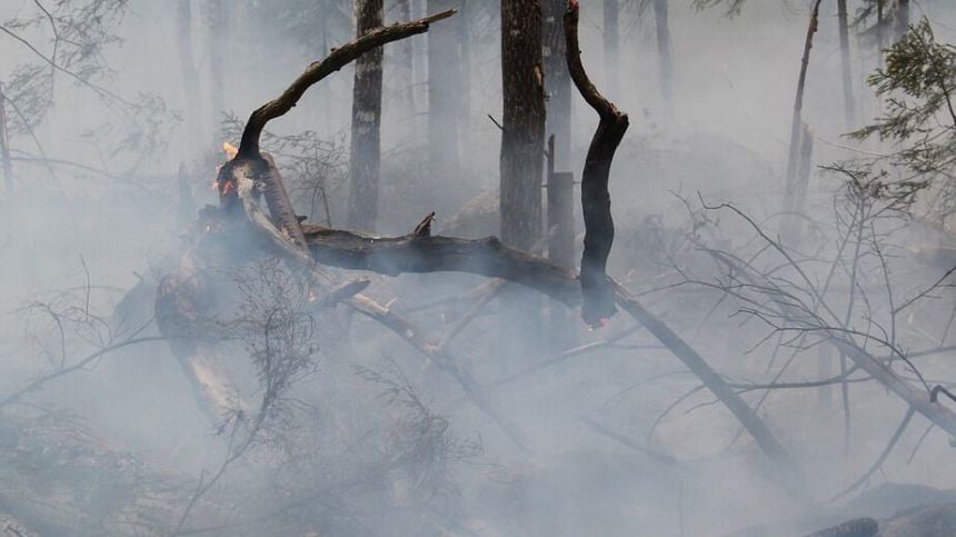 Junior Agriculture Minister visits site of Cloosh Valley wildfire