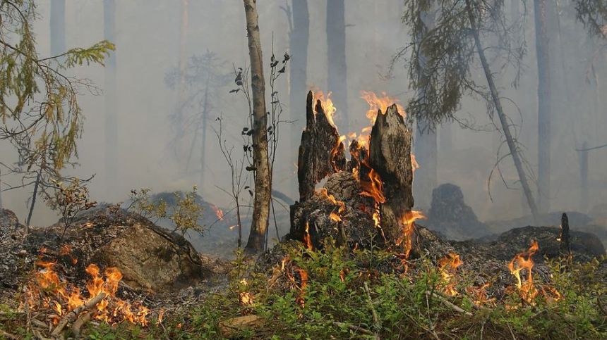 Fire services monitor over a thousand acres of bog blaze in East Galway