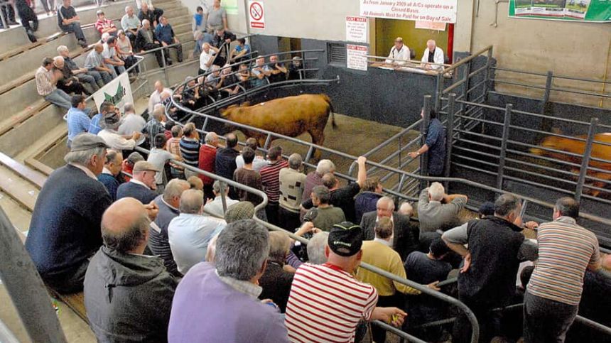 Council moves to progress major safety improvements at Gort Mart