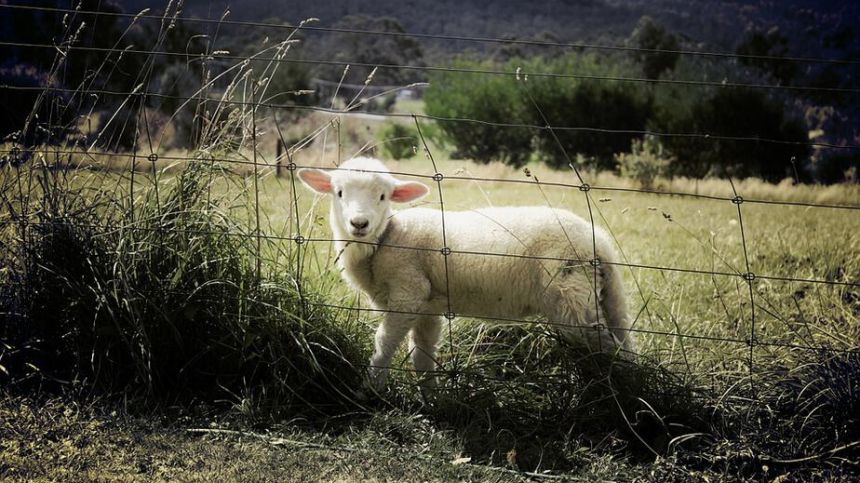 Galway's female agricultural workers urged to attend Claregalway meeting