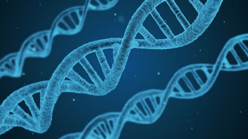 FBI given access to DNA from Connemara genealogical study