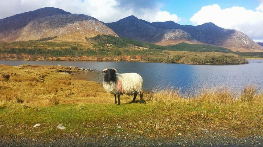 Canadian company seeks investors for testing in Connemara