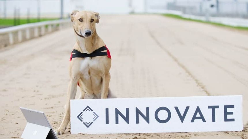 Galway greyhound track set for digital transformation